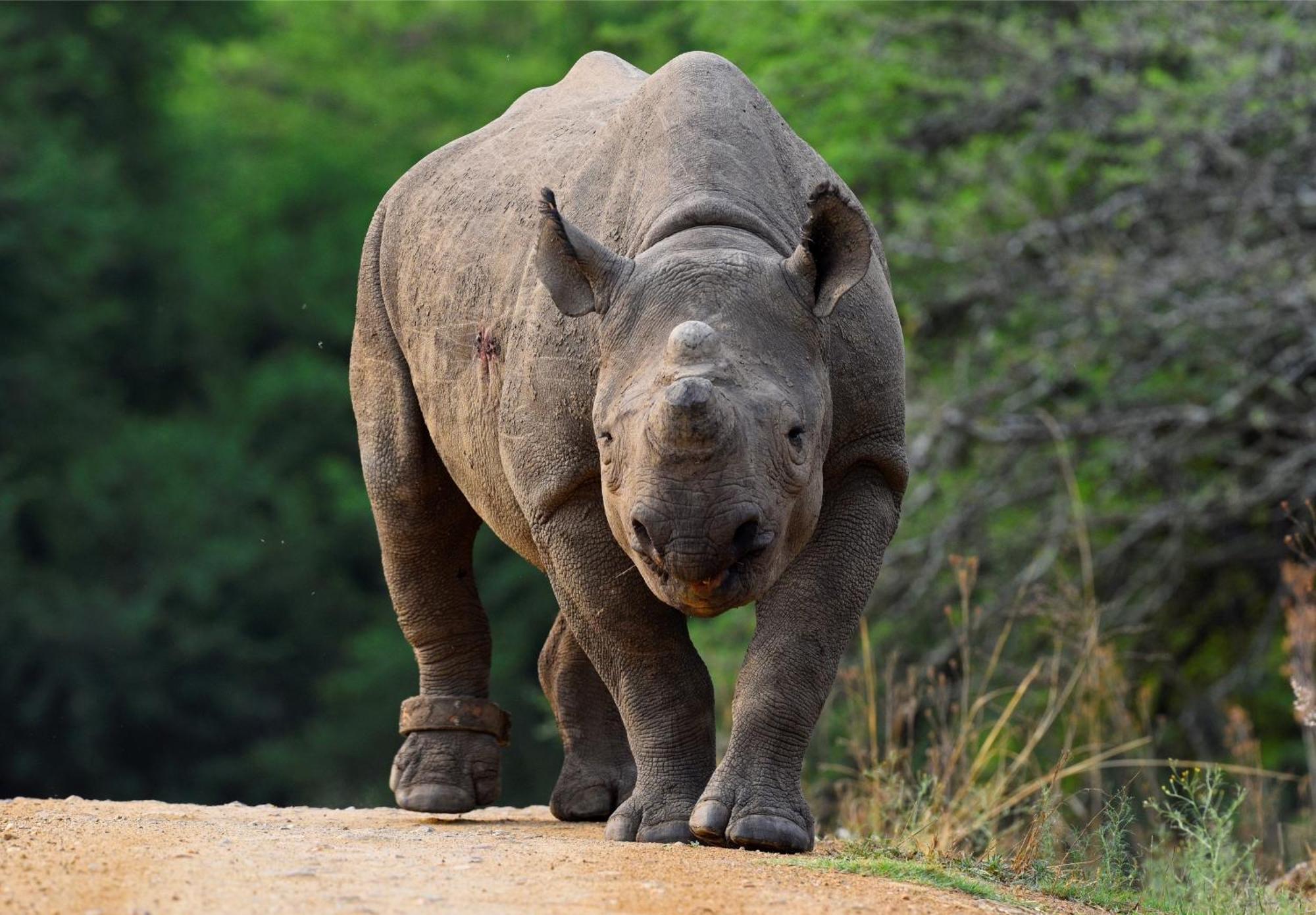 Valley Lodge - Babanango Game Reserve Дънди Екстериор снимка