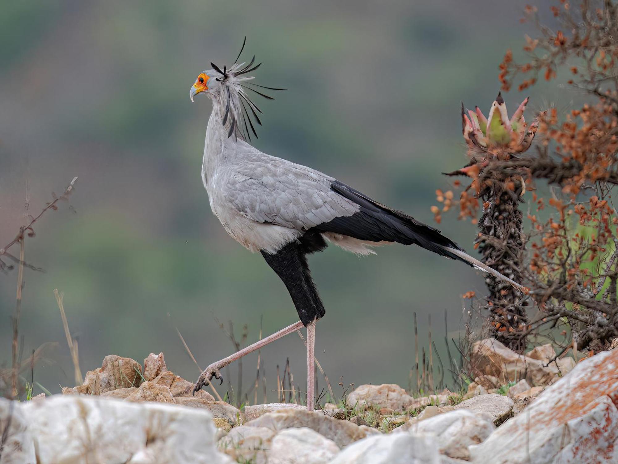 Valley Lodge - Babanango Game Reserve Дънди Екстериор снимка