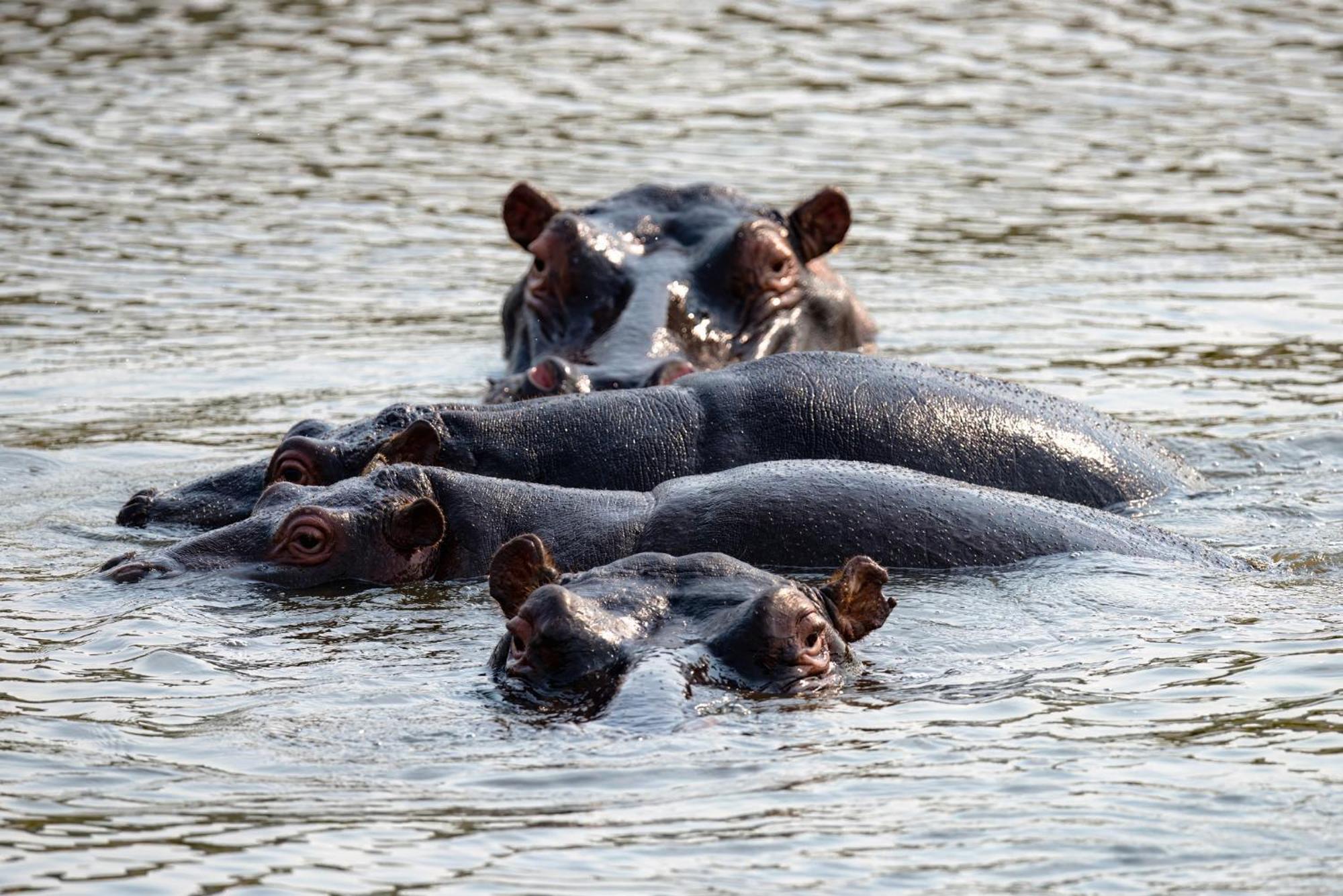 Valley Lodge - Babanango Game Reserve Дънди Екстериор снимка