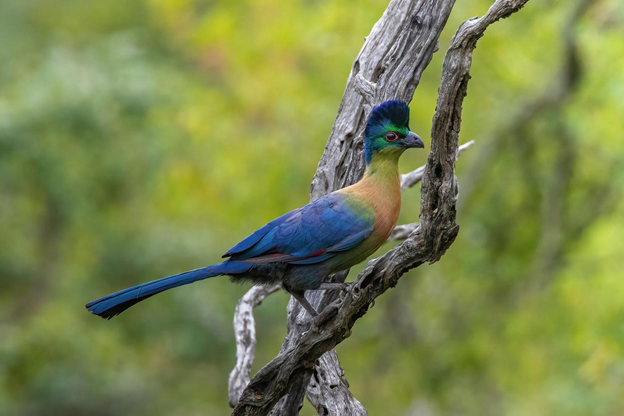 Valley Lodge - Babanango Game Reserve Дънди Екстериор снимка
